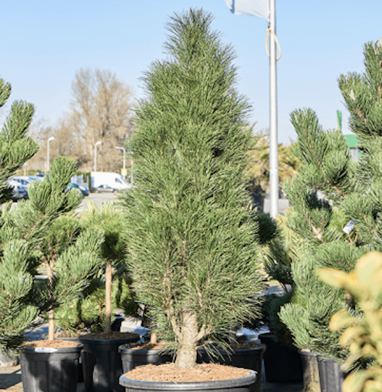 Screenshot 2025-10-21 at 18.58.06